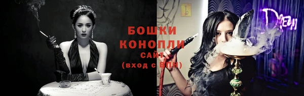 стаф Дмитров