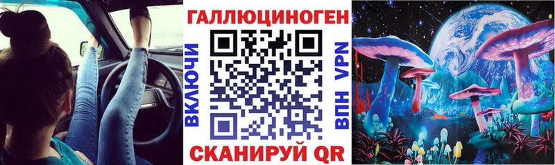 Купить где  Бердск  Галлюциногенные грибы Magic Shrooms 